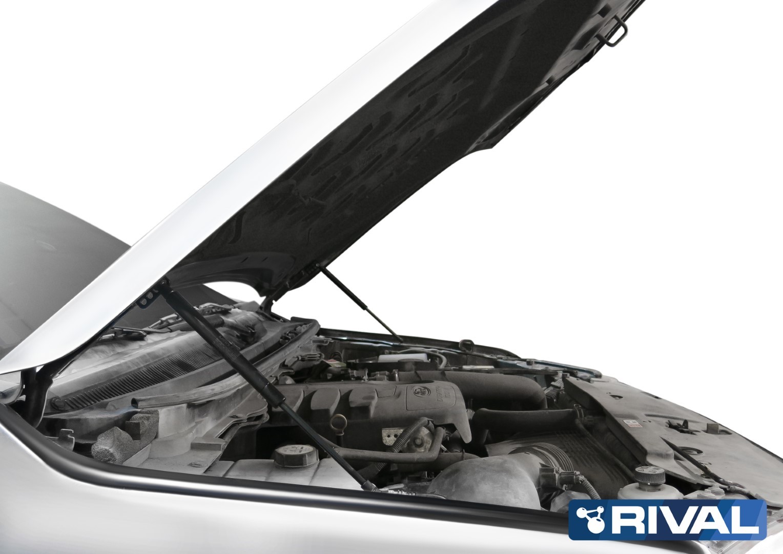 Kit vérin de capot RIVAL 2A.ST.1805.1 • Ford Ranger 2012-2023 et Mazda BT-50 2012-2020